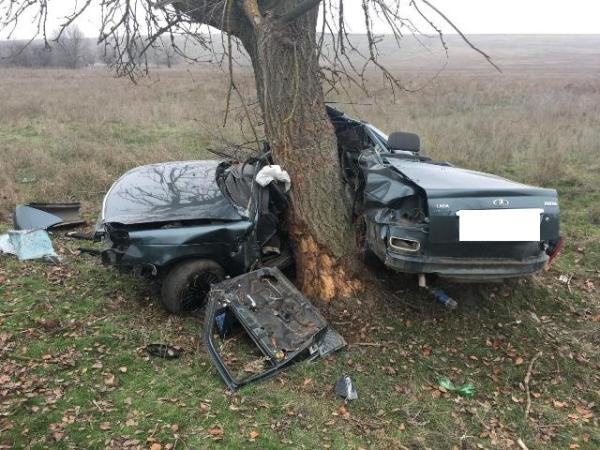 На Ставрополье легковушка от удара об дерево разлетелась на куски, погиб мужчина